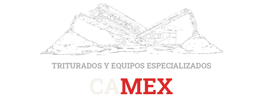 CAMEX